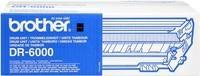 TAMBURO DR6000 OR X BROTHER