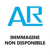ARTICOLO SPESA